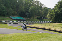 Lower Group Blue Bikes